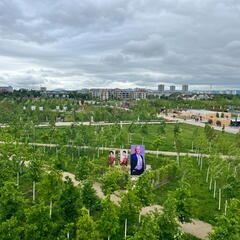 23-05-16 11-35-11 5392